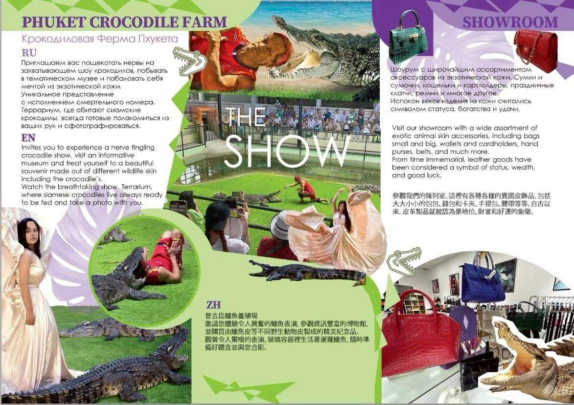 phuket crocodile farm and crocodile show phuket crocodile farm and crocodile show