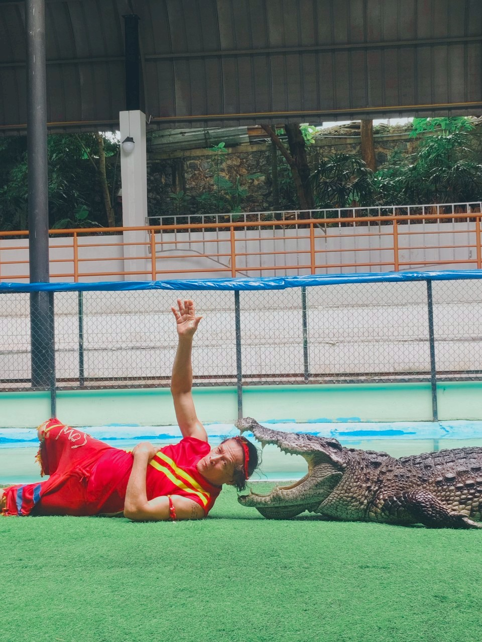 phuket crocodile farm and crocodile show phuket crocodile farm and crocodile show