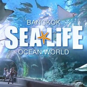 sealife bangkok