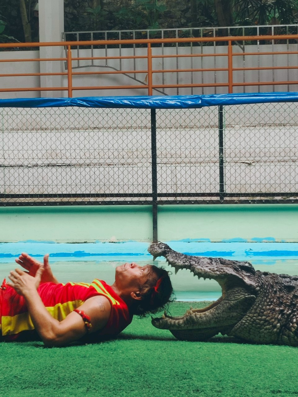 phuket crocodile farm and crocodile show phuket crocodile farm and crocodile show