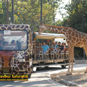 chiang mai night safari