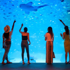 aquaria phuket