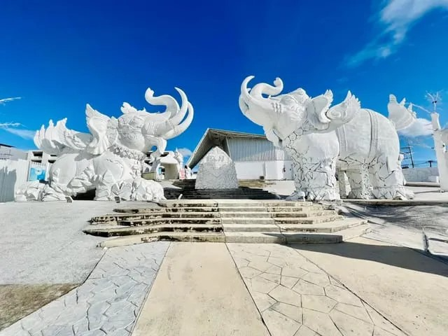 auto draft auto draft