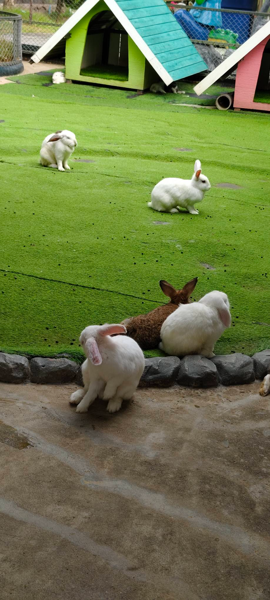 siri park and zoo siri park and zoo