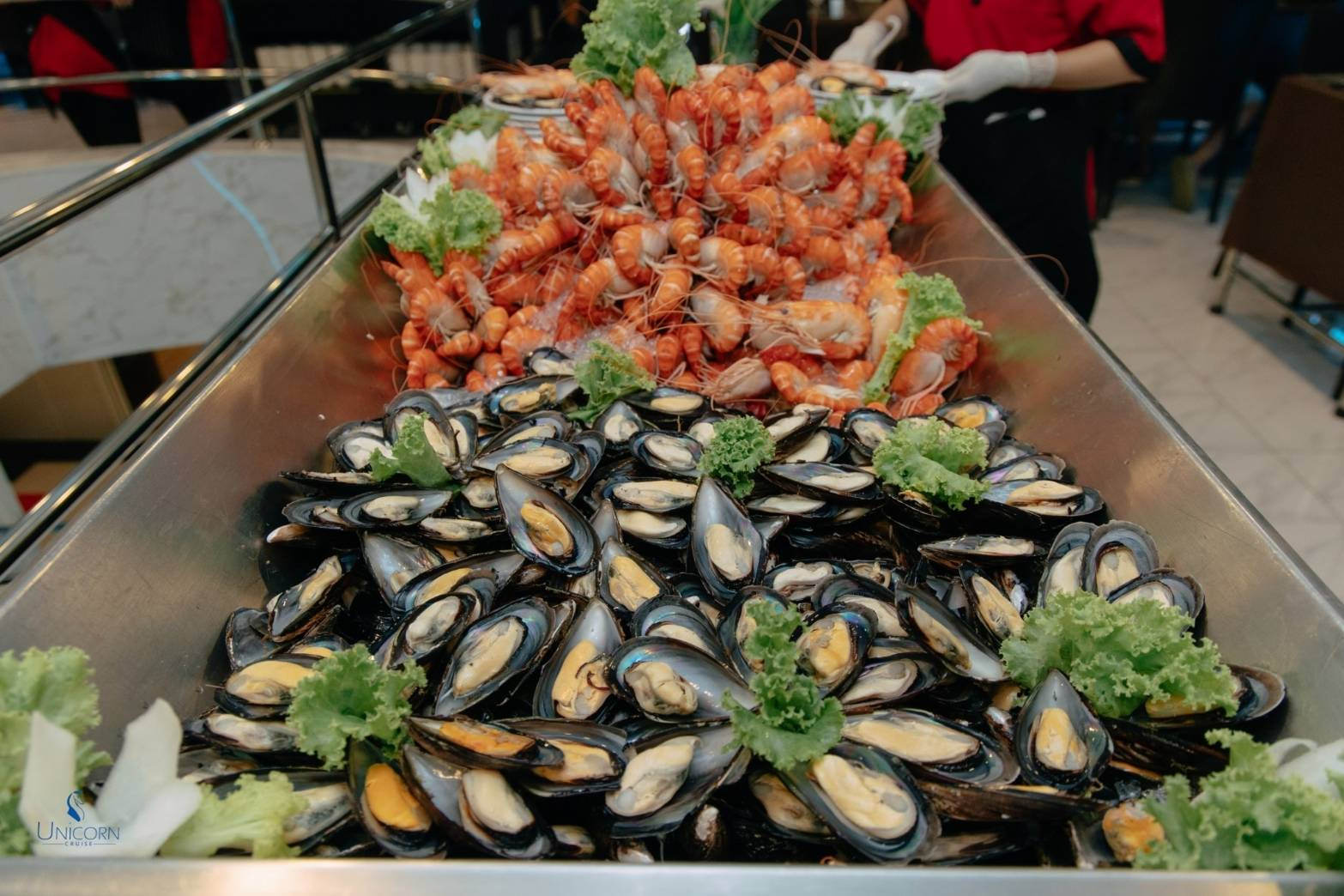 unicorn dinner cruise in bangkok unicorn dinner cruise in bangkok