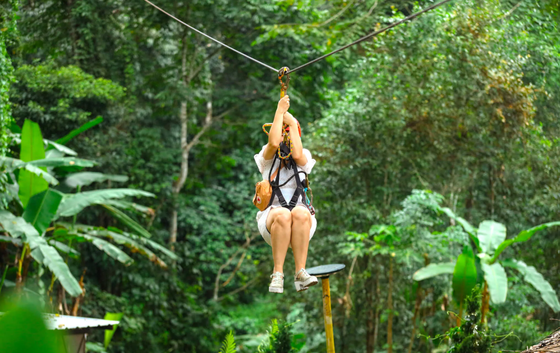 chiang mai sky hawk zipline chiang mai sky hawk zipline