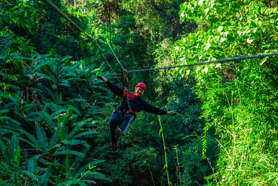 chiang mai sky hawk zipline chiang mai sky hawk zipline