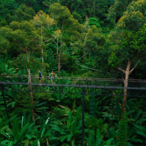 hanuman world phuket